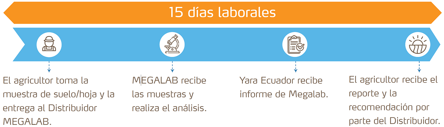 El proceso ocurre en 15 días laborales a partir de la toma de muestras