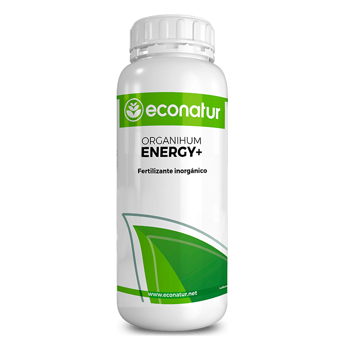 Econatur Organihum Energy Botella