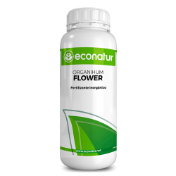 Econatur Organihum Flower Botella