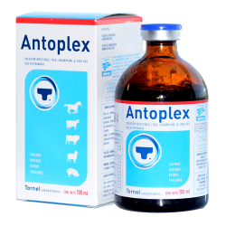Tornel Antoplex Ampolla Inyectable